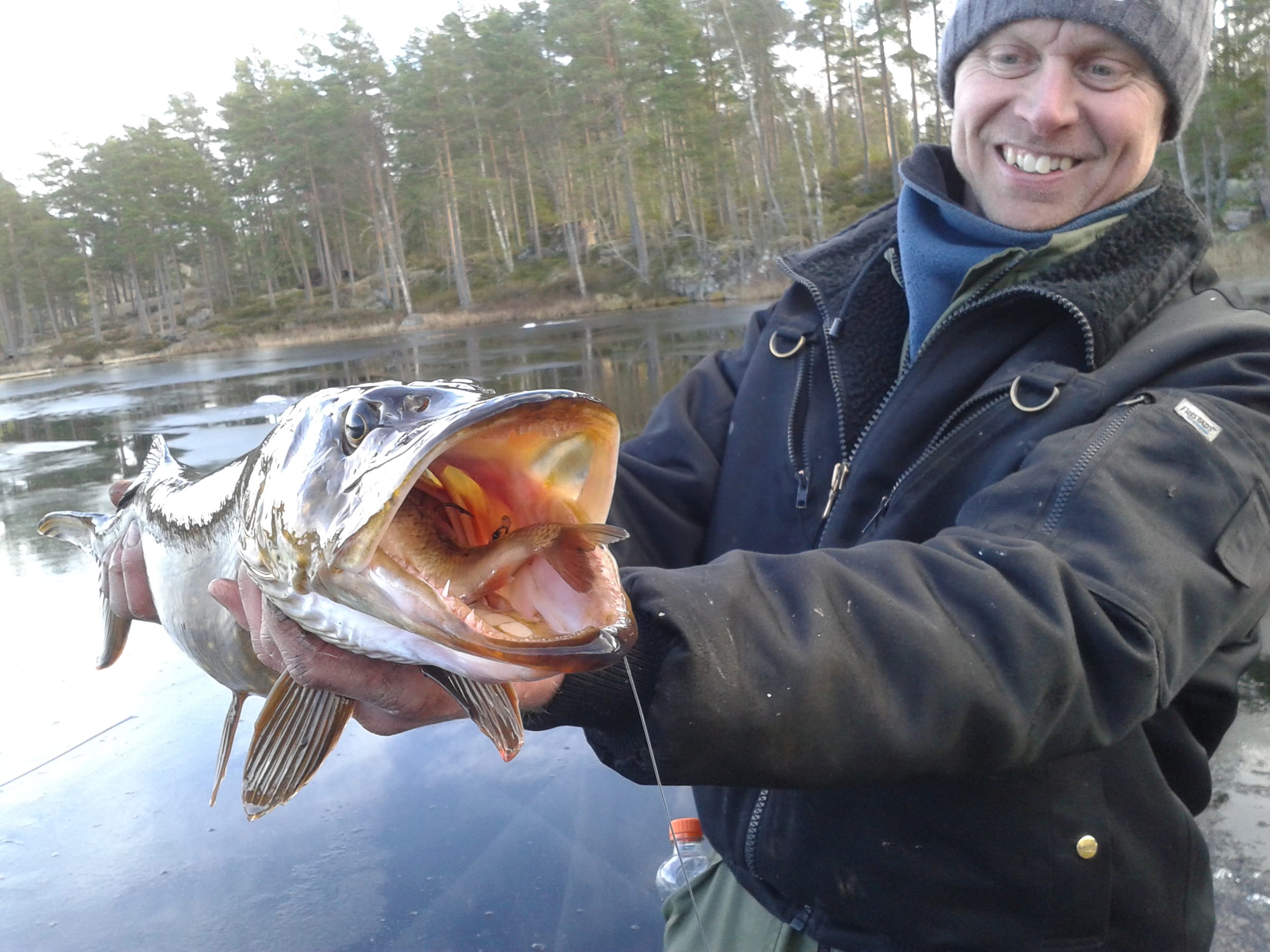 Hällesjöarna