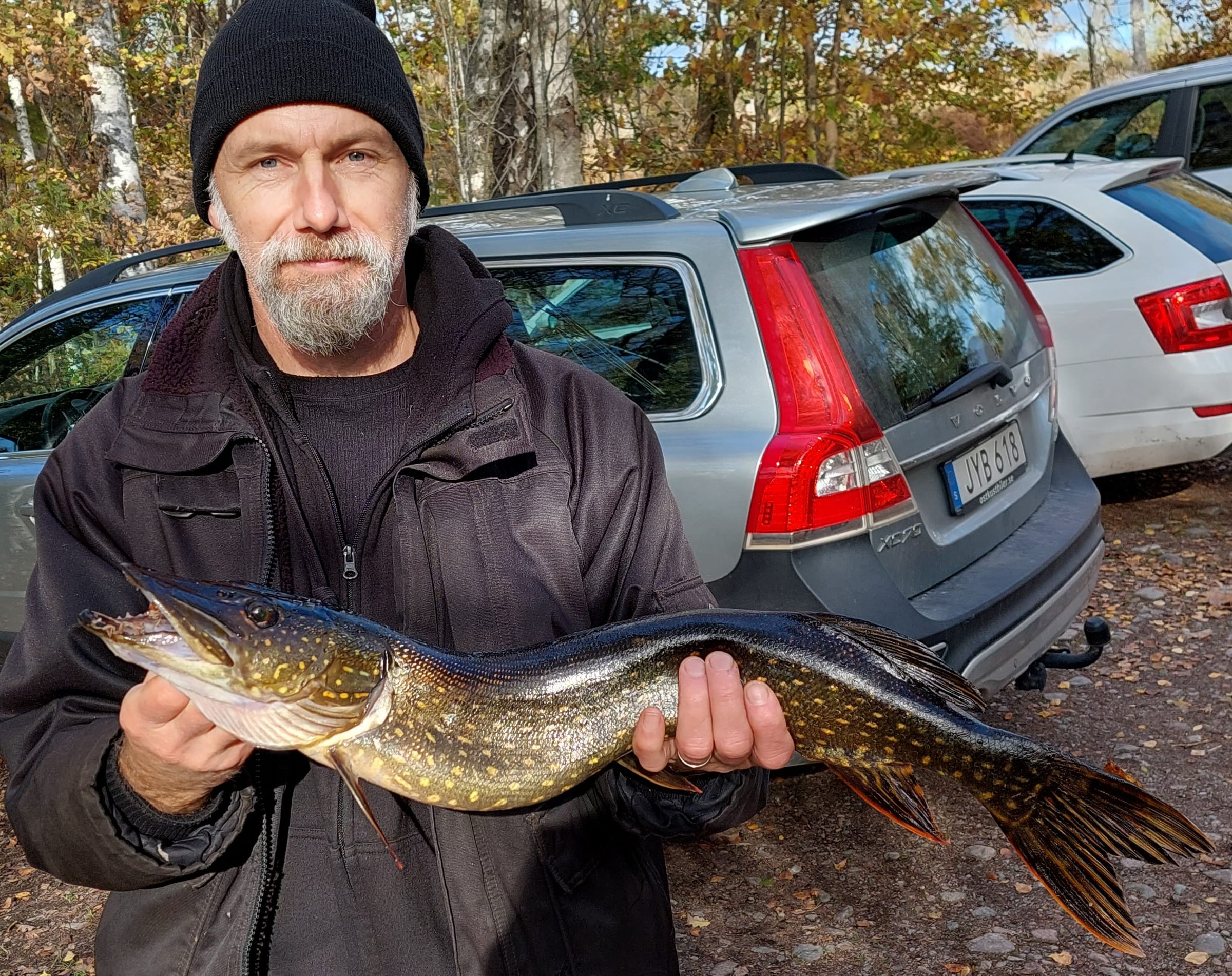 Klubbmästerskap i gäddfiske avgjort i Stora Hällesjön 16 oktober