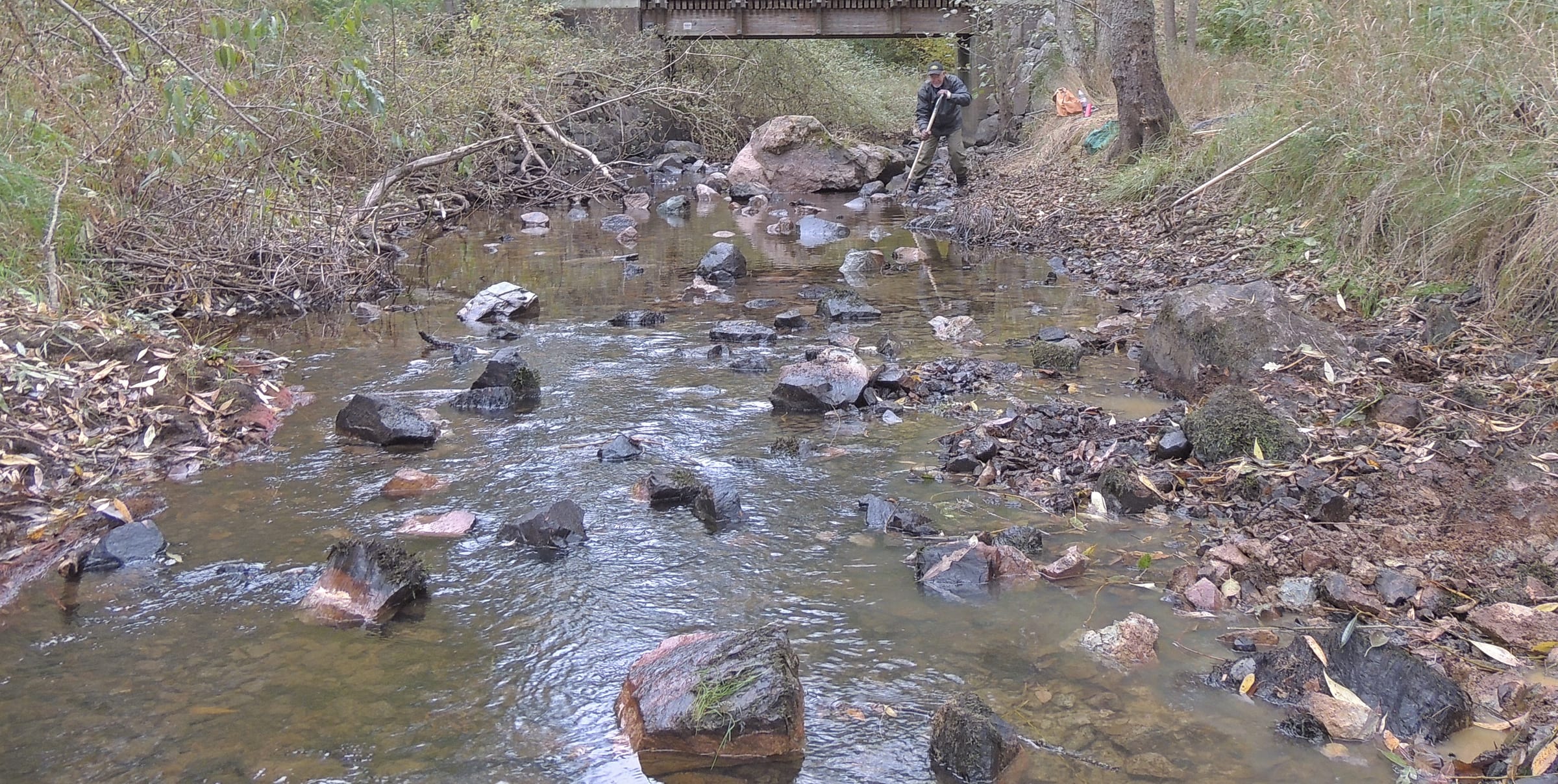 Strömfåra efter biotopvård