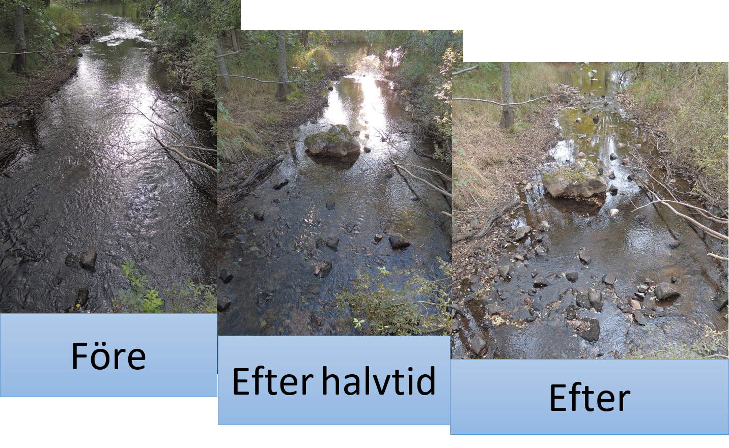 Cylinderkvillen före och efter biotopvård 2016